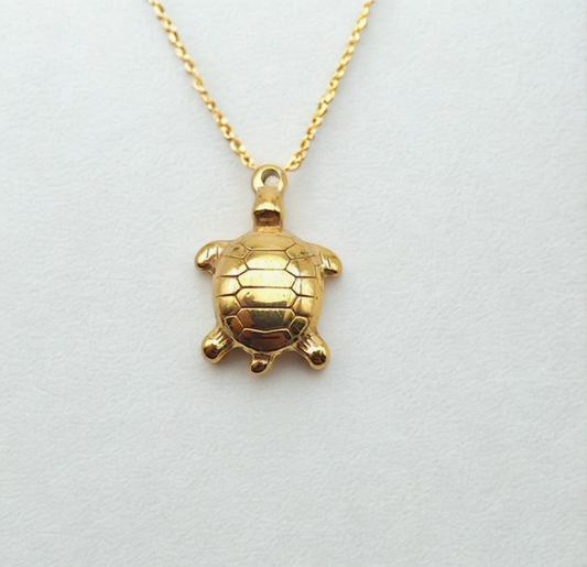 Tortuga