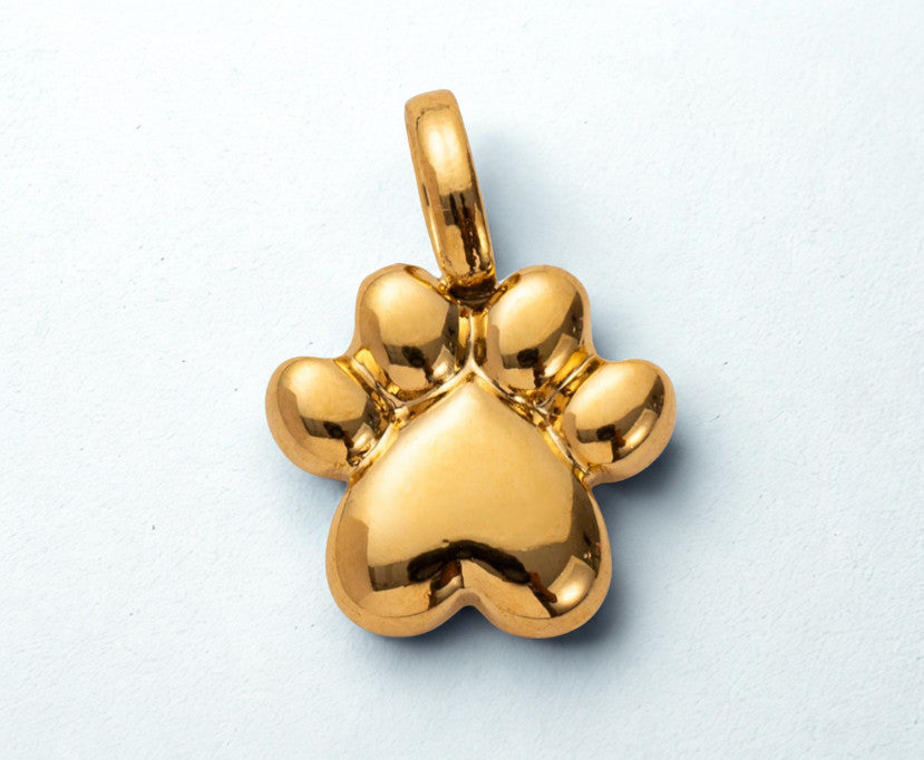 Collar personalizable charm
